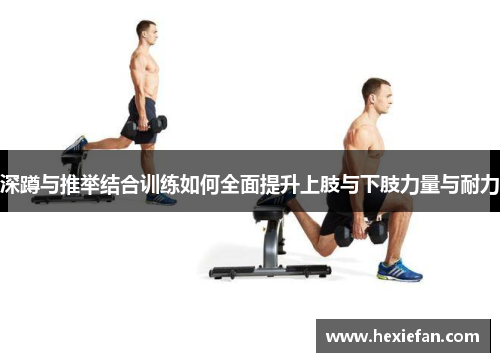 深蹲与推举结合训练如何全面提升上肢与下肢力量与耐力