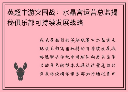 英超中游突围战：水晶宫运营总监揭秘俱乐部可持续发展战略