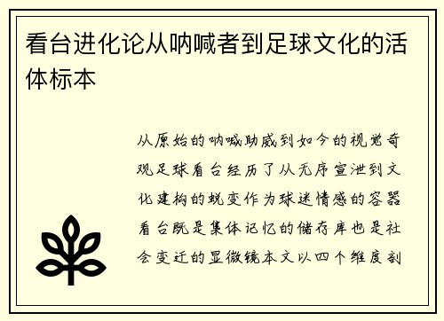 看台进化论从呐喊者到足球文化的活体标本
